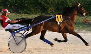 Joyeux Drille