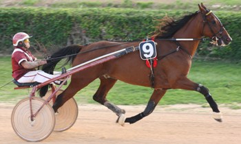Land du Vivier