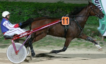 Leader Castelets