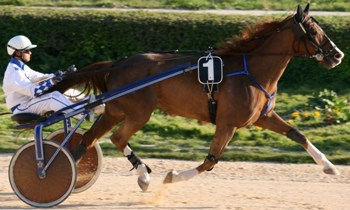 Kosac du Puits