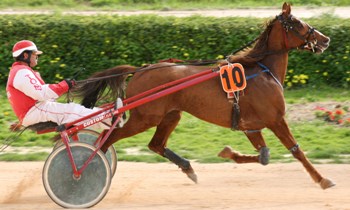 Pepin Saint Juvin