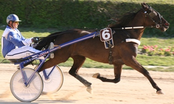 Quick Tim