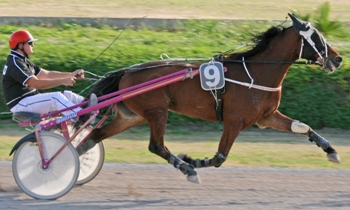 Ville Peson