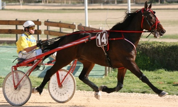J.D.Crown