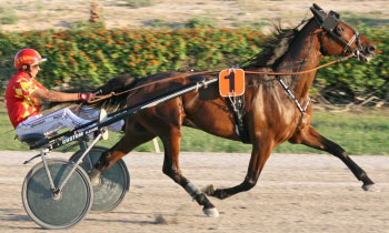 Castor Pollux