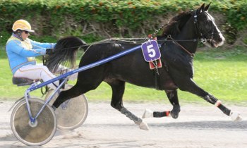 Mac du Boult