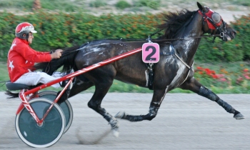 L'Echo de Cerpi