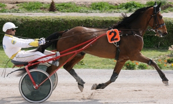 Loufoque Dairie