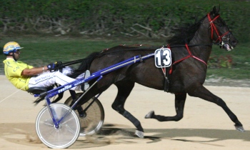 Taicon Hanover