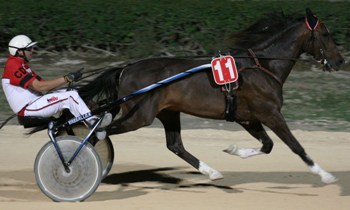 Shaber Lagne