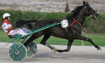 Marathon des Anges