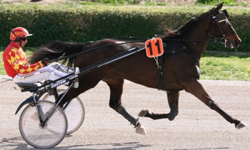 Loulou du Lamee