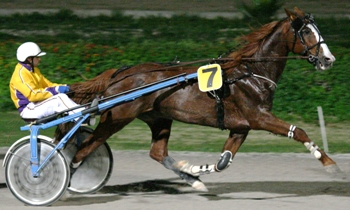 Maestro Sebajac