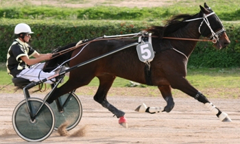 Manu Grange L'Abbe