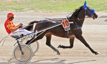 Roger Qui