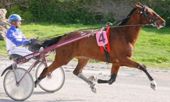 Le Bon Mayennais