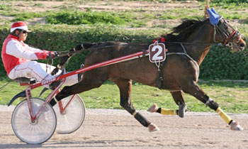 Ne Va Joe Brennois