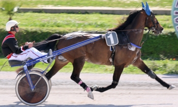 Le Bolide du Suret