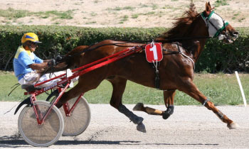 Loustic de l'Ain