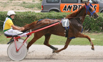 Magic Andjac