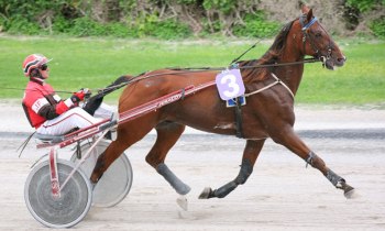 Natif du Moulin
