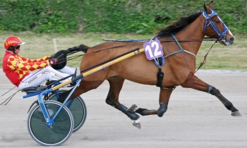 Narval d'Haufor