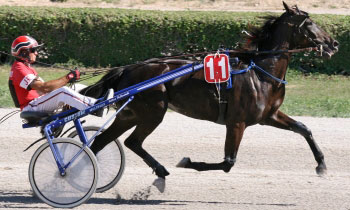 Lady de Vindecy