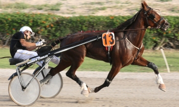 Forlan Trot