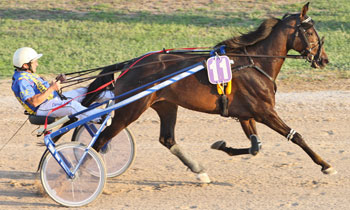 Noble Candeen