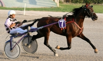 Iovanin