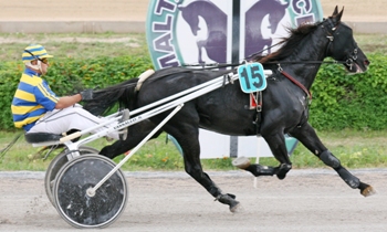 Mister Galbe