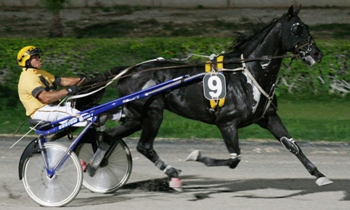 Nino de Cahot