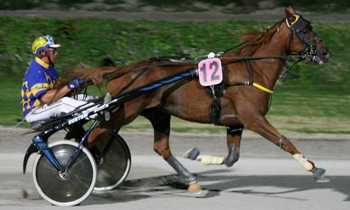 Mustang de Belfin