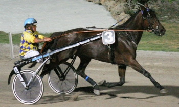 Mattahari