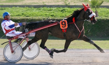 Origo Casino