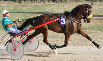 Oh Chef du Dray