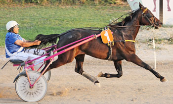 Winner Farming