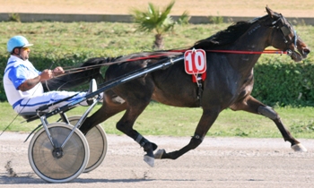 Slim Hanover