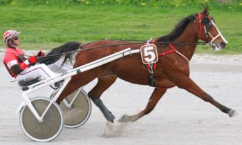 Magic de Assigny