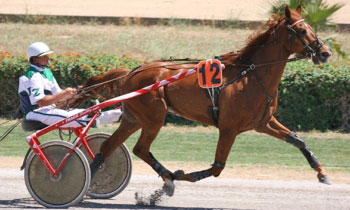 One Fouteau