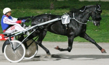 Milord du Biwetz