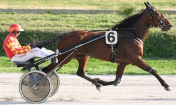 Trackstar