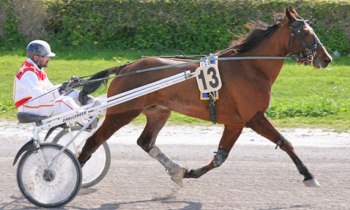 Running Asterix
