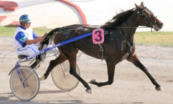 Go D.Samara