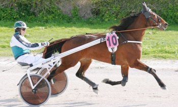 Olympio des Loyaux