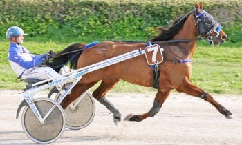 Ouest du Vivier