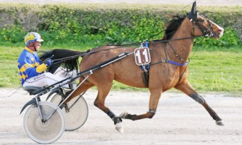 Nelson du Val