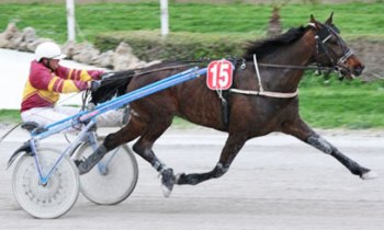 Petit Veinard