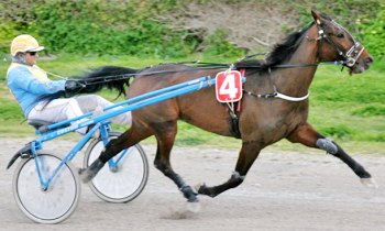 Zilver Boko