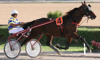 Prince du Moutier